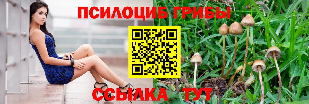Галлюциногенные грибы Cubensis Донецк