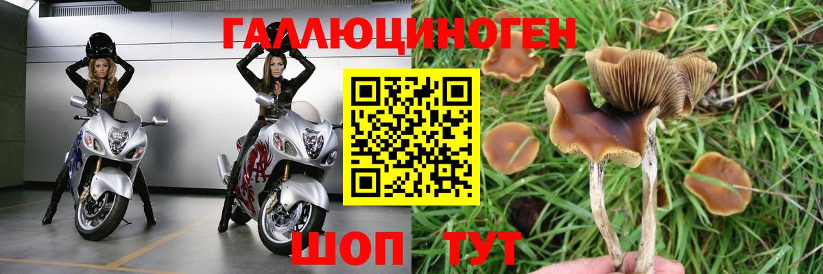 Донецк  Галлюциногенные грибы Magic Shrooms  Галлюциногенные грибы MAGIC MUSHROOMS  Вход с VPN 